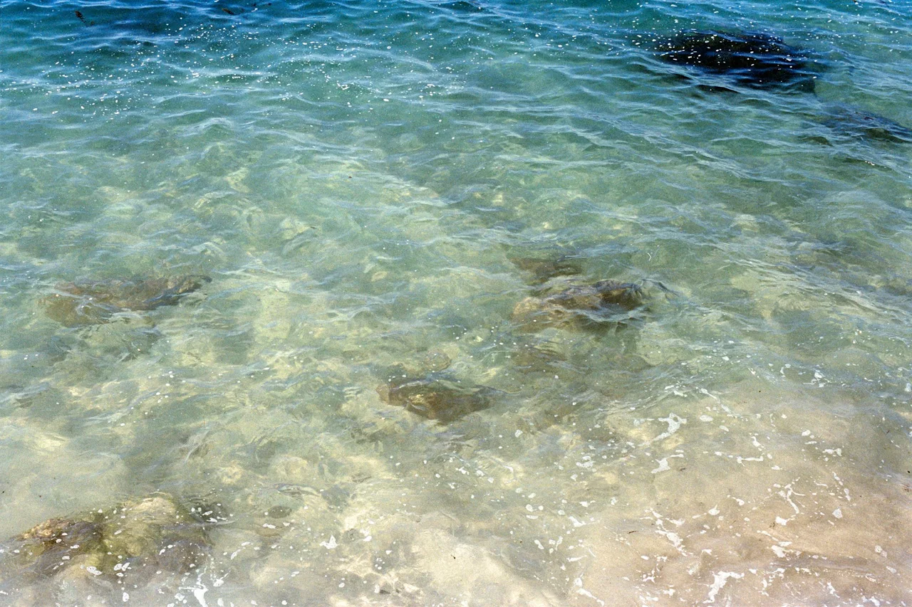 Clear coastal water revealing rocks below.