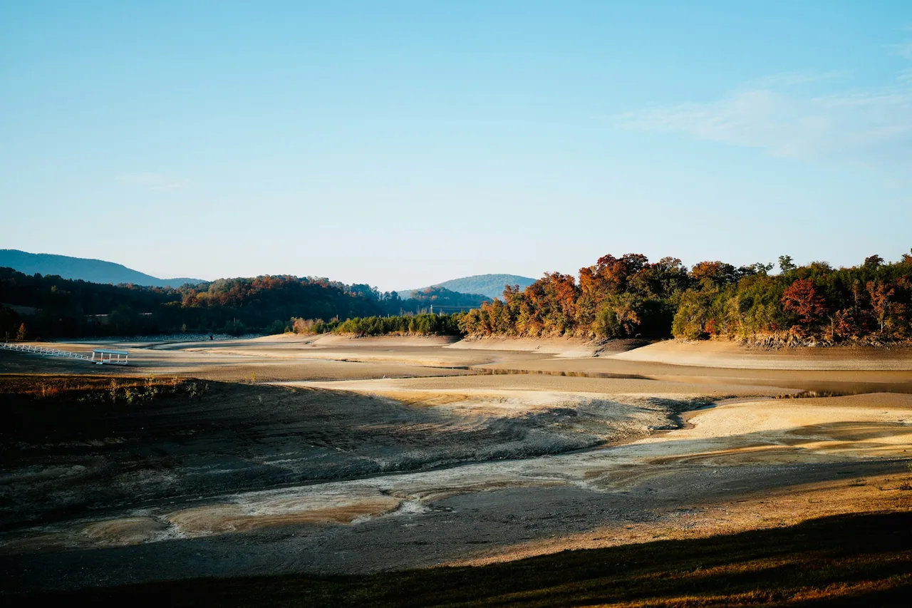 A dry lake bed bordered by trees and hills.